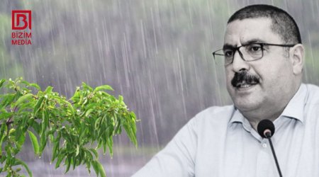 Ekoloq: “Yağışın ziyanı yoxdur, əksinə...”