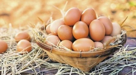 Marketlərdən sarı yumurtalar yığışdırılır - SƏBƏB