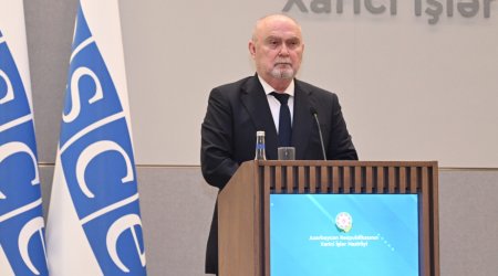 Baş katib: “ATƏT minaların təmizlənməsində dəstək göstərməyə hazırdır” - VİDEO
