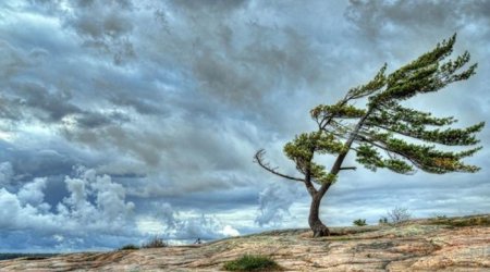 DİQQƏT: Hava ilə bağlı XƏBƏRDARLIQ EDİLDİ