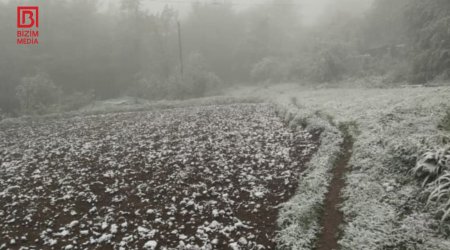 Lerikə qar yağıb – FOTO