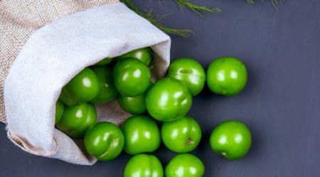 Alça bu insanlara qəti QADAĞANDIR – ARAŞDIRMA