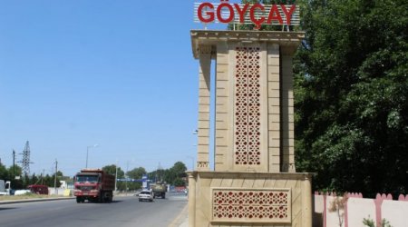 Göyçayda FACİƏ – 63 yaşlı şəxs meyvə ağacından yıxılaraq HƏYATINI İTİRİB