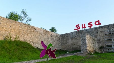 Bir qrup şəhid ailəsi və qazilər Şuşada - FOTO