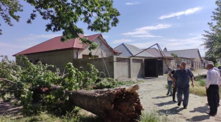 Güclü külək ağacı yaşayış evinin üstünə aşırdı – FOTO