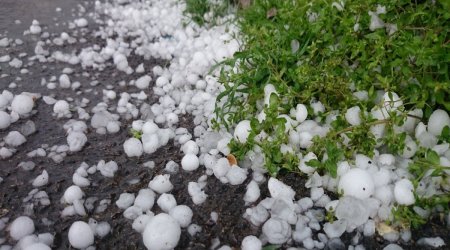 Zaqatalaya dolu yağdı