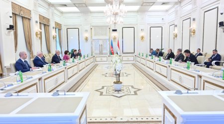 Azərbaycan və Misir arasında parlamentlərarası münasibətlər müzakirə edildi - FOTO