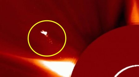 Günəşin üzərində peyda olan nəhəng "odlu quş"un sirri açıldı - FOTO