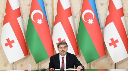 “Azərbaycan beynəlxalq aləmdə nüfuzlu rola malik ölkə olmaq üçün xeyli çətinliklərin öhdəsindən gəlib”