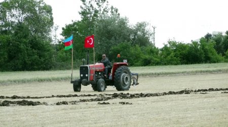 Türkiyəli fotoqraf Azərbaycanın Müstəqillik Gününü belə təbrik etdi – FOTO