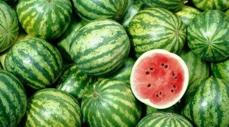 Bu aylarda qarpız yemək olar?