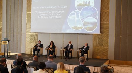 Xarici işlər nazirinin müavini İstanbulda COP30-la bağlı keçirilən konfransda iştirak edib - FOTO