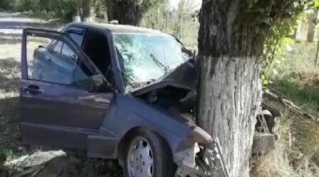 Göygöldə avtomobil ağaca çırpılıb: Xəsarət alanlar var