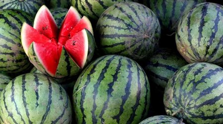 Qarpız seçərkən fikir verin: Belə səs çıxırsa...