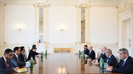İlham Əliyev Pakistanın neft nazirini qəbul etdi – FOTO
