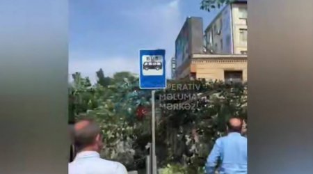 Bakıda ağac avtobus dayanacağının üstünə aşdı – VİDEO