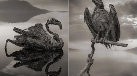 Planetin ən qorxunc yerlərindən biri - Heyvanları "DAŞA ÇEVİRƏN" göl - FOTO