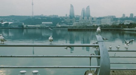 Dənizkənarı Milli Parkın ərazisində sudan meyit çıxarıldı