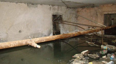 Sumqayıtda zirzəmi bataqlığa çevrildi - Sakinlər nəfəs ala bilmir!