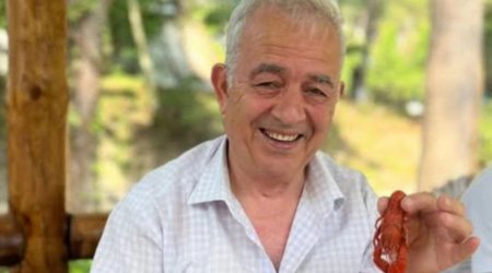 Azərbaycanda yazıçı ağacdan YIXILDI
