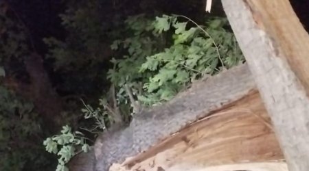 Güclü külək Oğuzda fəsadlar TÖRƏTDİ – Avtomobil yolu BAĞLANDI