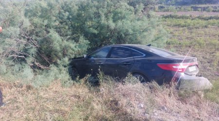 Mingəçevir yolunda avtomobil ağaca ÇIRPILDI - FOTO/VİDEO