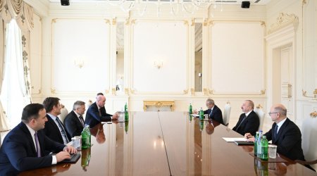 BP şirkətinin baş icraçı direktoru İlham Əliyevin QƏBULUNDA – FOTO