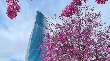 Bayram günlərinin havası AÇIQLANDI