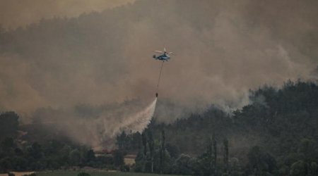 Türkiyədə meşə yanğını törədən 17 nəfər TUTULDU