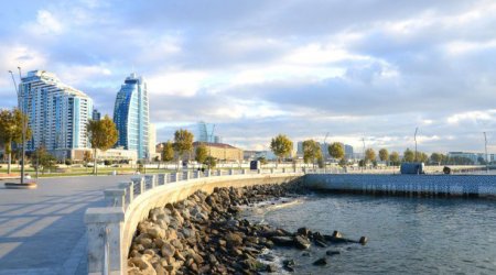 Ağ Şəhər bulvarında meyit aşkarlandı