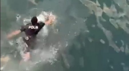 Bakıda polis özünü dənizə ataraq qadını xilas etdi – ANBAAN VİDEO