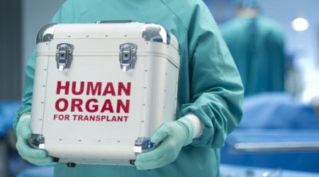 Azərbaycanda ölümündən sonra orqanlarını bağışlamaq istəyənlərin sayı ARTIB – RƏSMİ