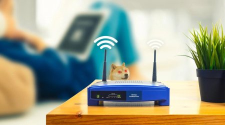 Yaponiyada internet sürətində YENİ REKORD müəyyən edildi