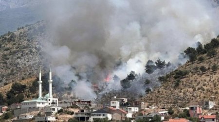 Bu ölkədə meşə yanğını başlayıb