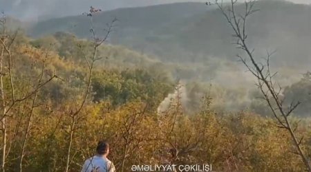 Cəlilabaddakı yanğın MƏHDUDLAŞDIRILDI - VİDEO