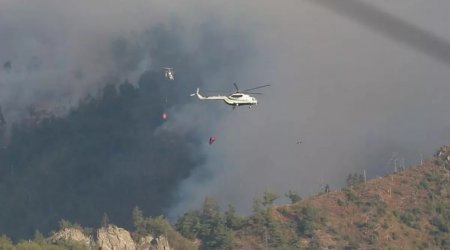 Cəlilabadda dağlıq ərazidəki yanğın tam söndürüldü
