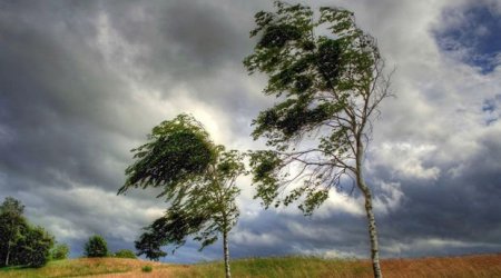 Küləkli hava şəraiti ilə bağlı sarı XƏBƏRDARLIQ