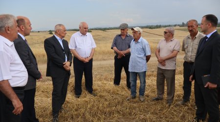 Qusarda kənd təsərrüfatı sahələrində aparılan işlərlə tanışlıq olub - FOTO