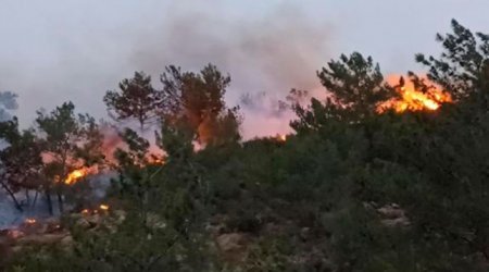 SON DƏQİQƏ: Laçında meşə yanır