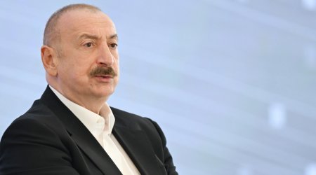 “İstəyirik ki, İqtisadi Əməkdaşlıq Təşkilatı daha güclü, daha effektiv olsun” - İlham Əliyev