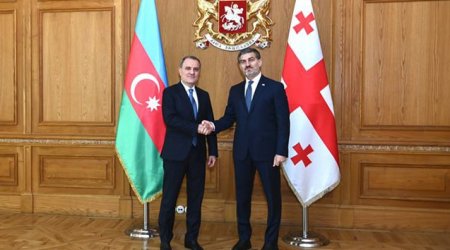 Ceyhun Bayramov Gürcüstan Prezidenti ilə görüşdü