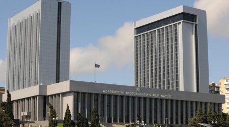 Fransa Milli Assambleyasında ərazi bütövlüyümüzə açıq hörmətsizlik edilir - BƏYANAT