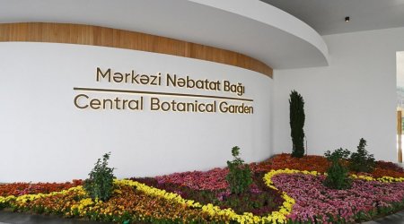 Mərkəzi Nəbatat Bağından azyaşlını ilan sancması xəbərinə REAKSİYA