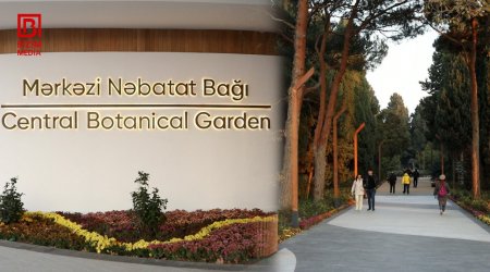 Nəbatat Bağından ilanın uşağı sancması ilə bağlı daha bir AÇIQLAMA