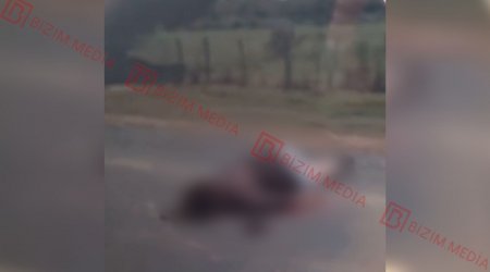 Zaqatalada avtomobil qadını vurub – ÖZƏL/VİDEO