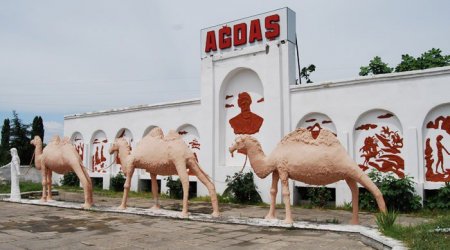 Ağdaşda ağır qəza: 66 yaşlı qadın xəsarət aldı