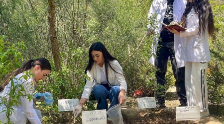 COP29-a görə bəzi ixtisasların keçid balı arta bilər