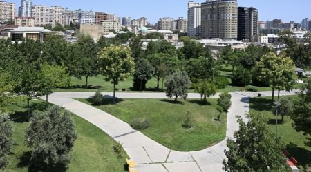 Mərkəzi Parkın genişləndirilməsi: Tarix və müasirlik arasında yeni yaşıl nəfəs - ARAŞDIRMA