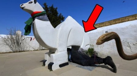 Bu ölkələrdə ginekoloqların işini PİRLƏR görür – “Ağ dəvənin altından keç, uşaq sahibi ol” – ARAŞDIRMA