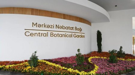 Nəbatat Bağında piknik yeri bağlandı - Burda uşağı ilan sancmışdı